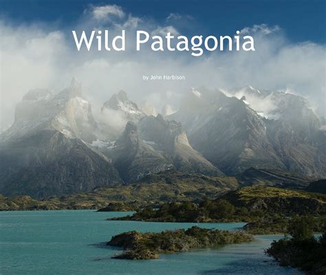 Patagonia Wild brabet